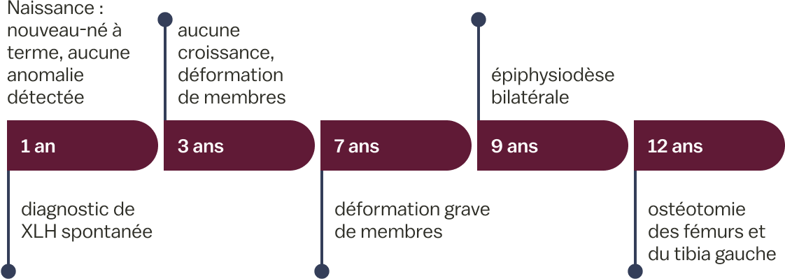 Case summary timeline; refer to the information on this page for more details