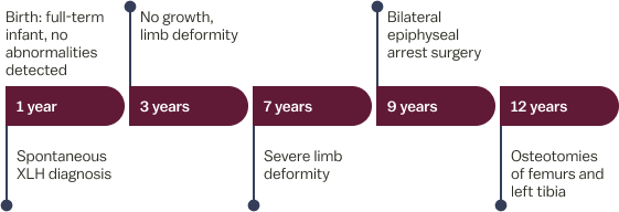 Case summary timeline; refer to the information on this page for more details